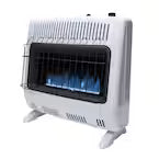 Mr. Heater 30,000 BTU Heater